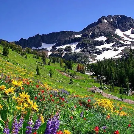 شقة Solar Nest With Fireplace And Panoramic View 700m From Skilift And Centrum *